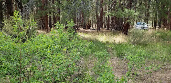 Jackson Creek Campground Picture 8