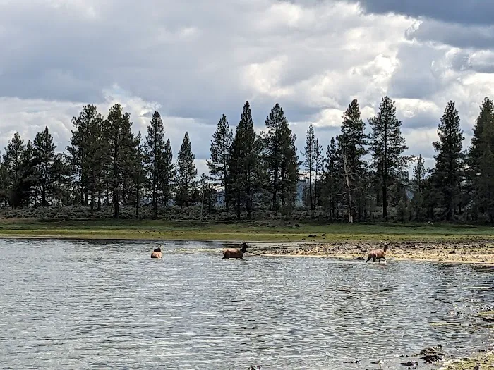 Thompson Reservoir Campground Picture 2