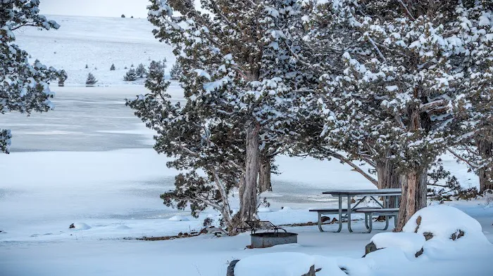 Duncan Reservoir Campground Picture 6