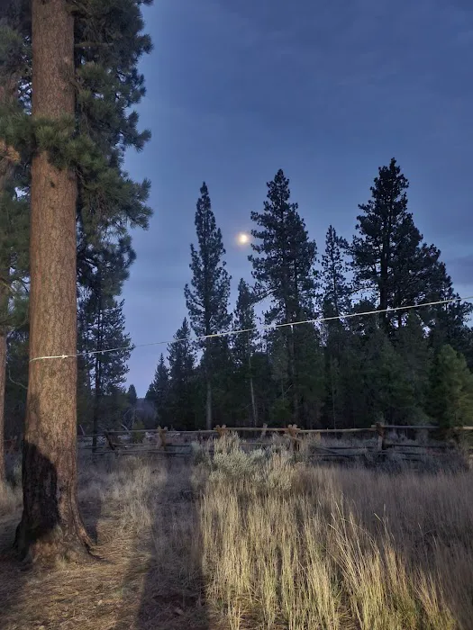 Big Creek Campground Picture 2