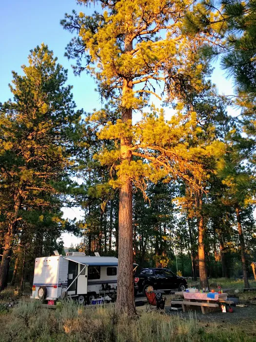 Big Creek Campground Picture 7