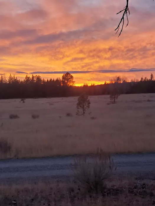 Big Creek Campground Picture 1