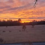 Big Creek Campground