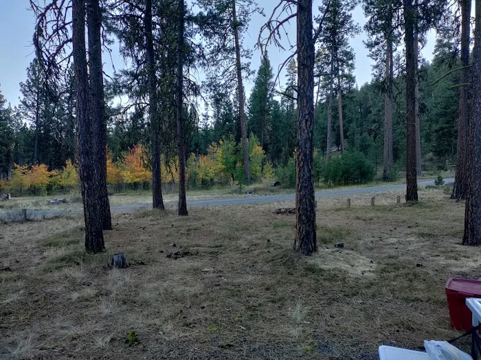 Rock Springs Campground Picture 4