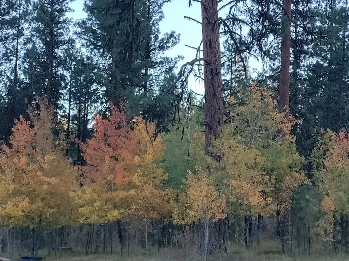 Rock Springs Campground Picture 2