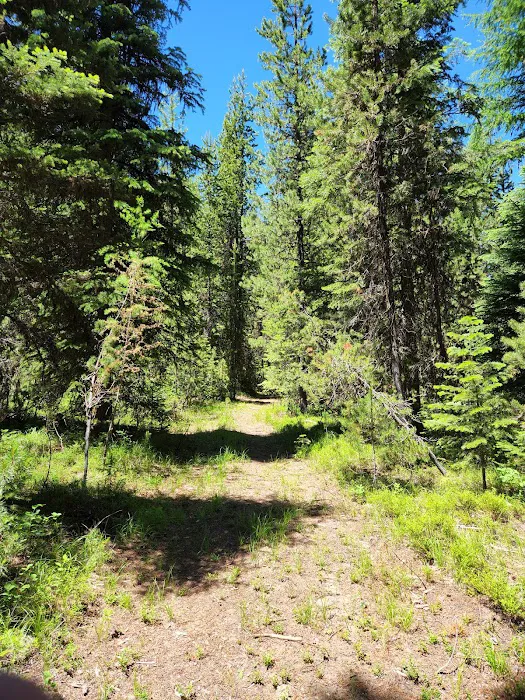 Crescent Campground Picture 10