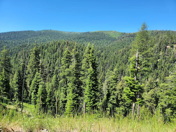 Crescent Campground Picture 1