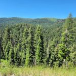 Crescent Campground