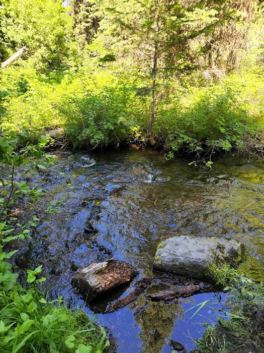 Crescent Campground Picture 4