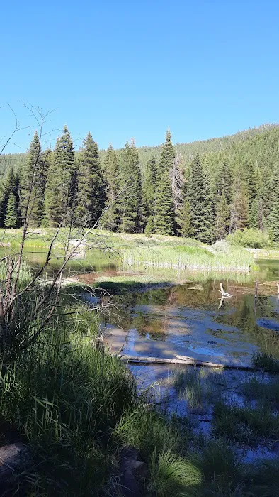 Trout Farm Campground Picture 2