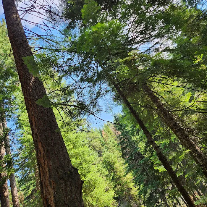 Trout Farm Campground Picture 10