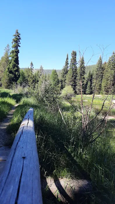 Trout Farm Campground Picture 1