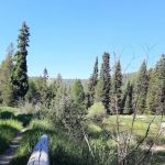 Trout Farm Campground