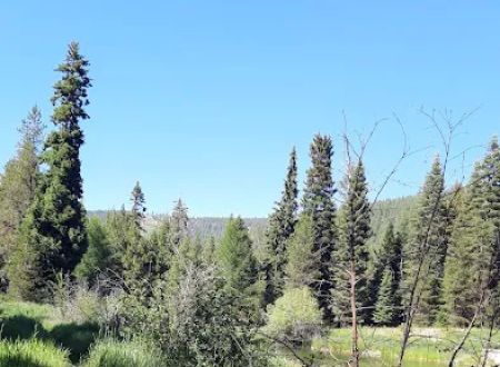 Trout Farm Campground