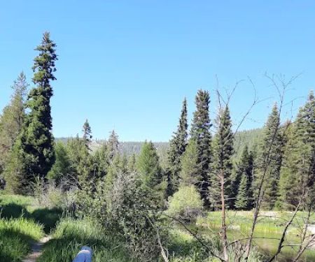 Trout Farm Campground