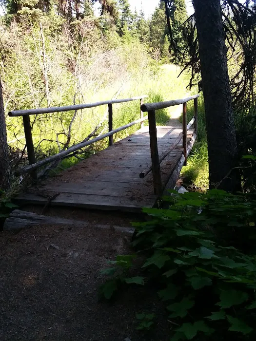 Trout Farm Campground Picture 4