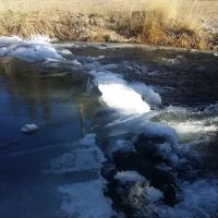 Little Crane Campground ico