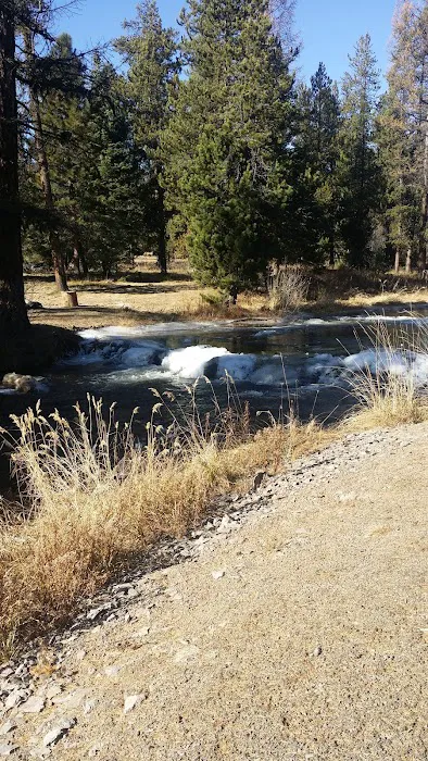 Little Crane Campground Picture 2