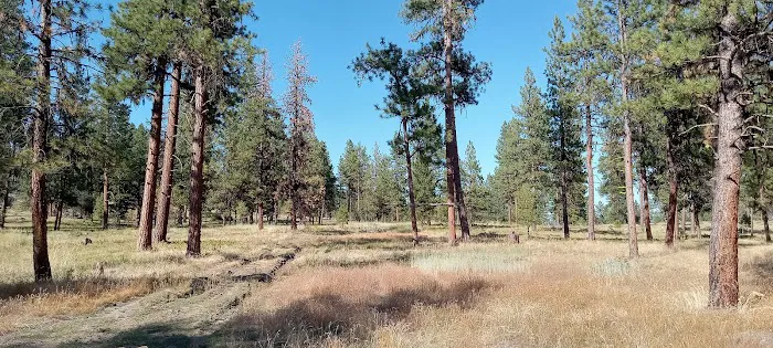 Magone Lake RV Site Picture 2