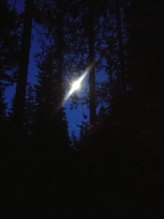 Dixie Campground Picture 2
