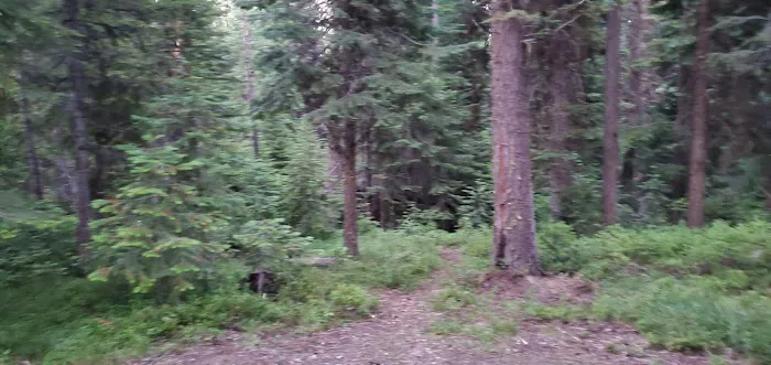 Dixie Campground Picture 9