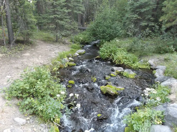 Elk Creek Campground Picture 3
