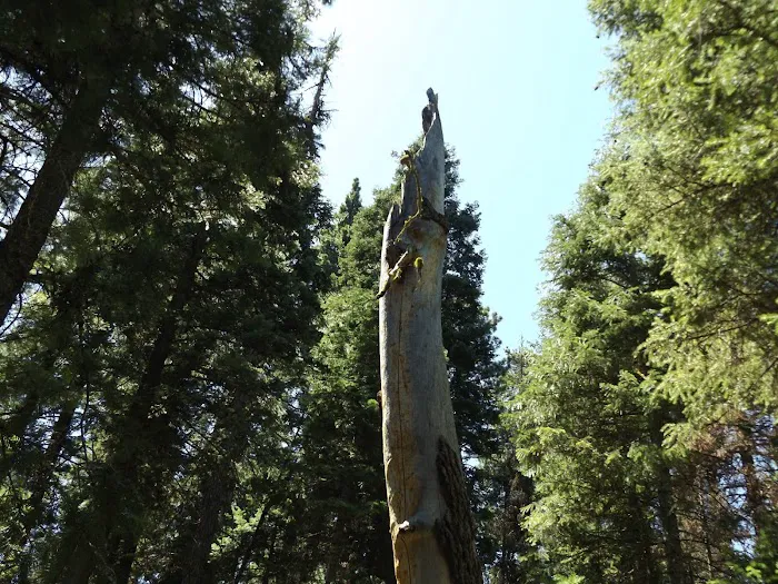 Elk Creek Campground Picture 6