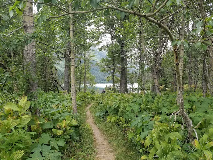 Glenns Lake Campground Picture 6