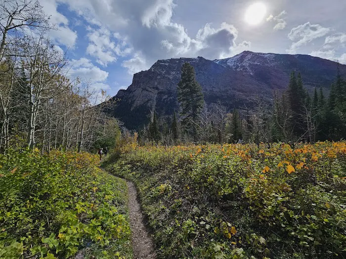 Cosley Lake Campground Picture 5