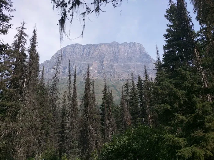 Reynolds Creek Campground Picture 10