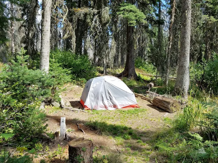 Reynolds Creek Campground Picture 4