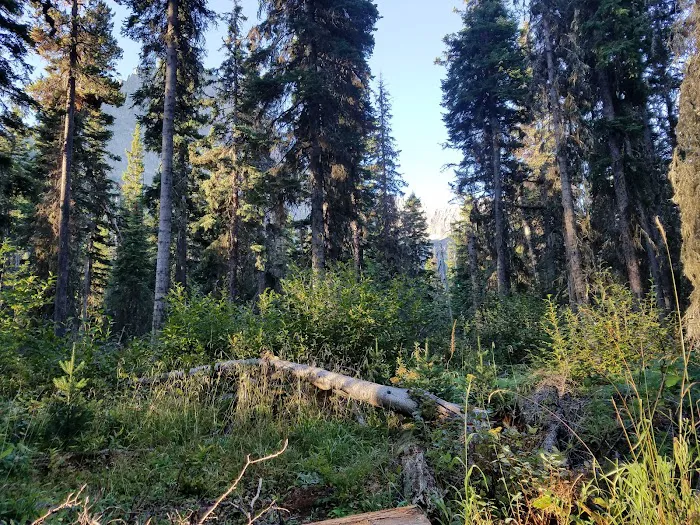 Reynolds Creek Campground Picture 2