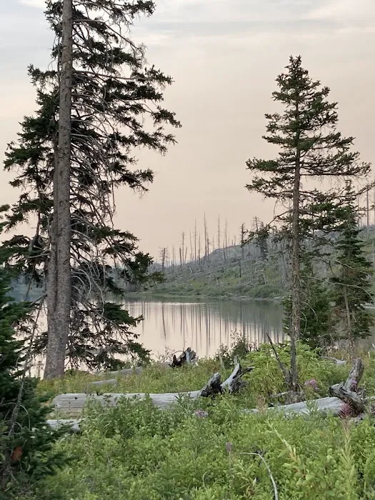 Red Eagle Lake Head campground Picture 6
