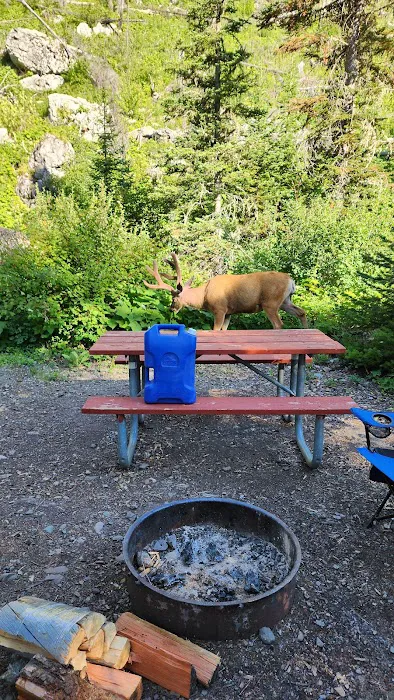 Rising Sun Campground Picture 7