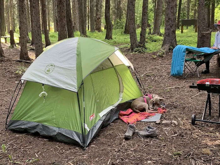 Schafer Airfield Campground Picture 4