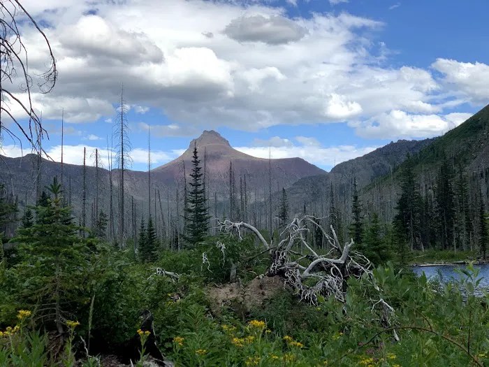 Upper Park Creek Campground Picture 4
