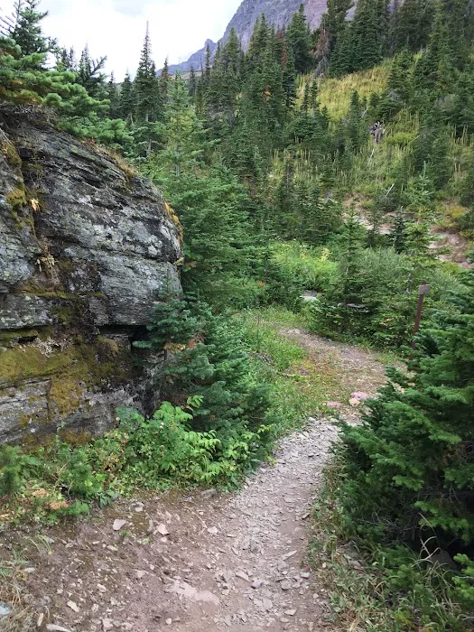 Cobalt Lake Campground Picture 10