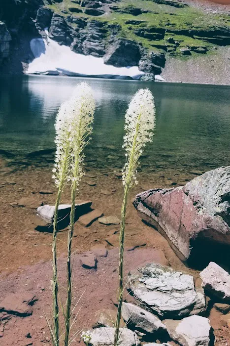 Cobalt Lake Campground Picture 5