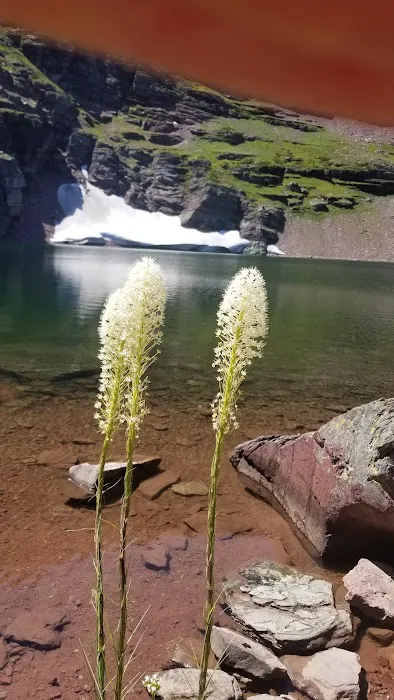 Cobalt Lake Campground Picture 2