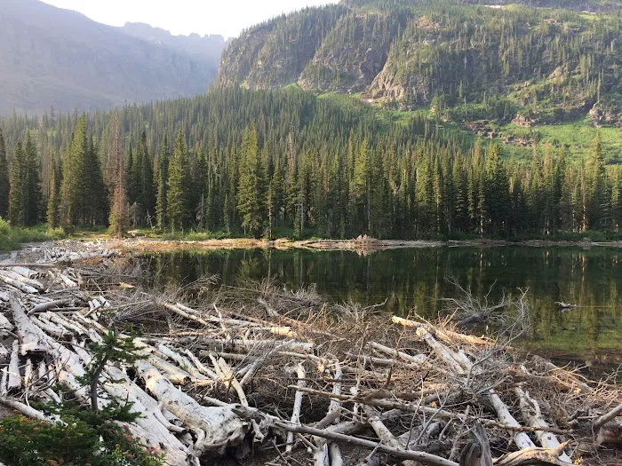 Upper Two Medicine Lake Campground Picture 8