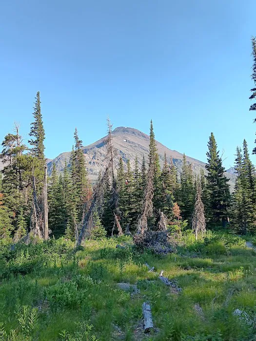 Upper Two Medicine Lake Campground Picture 9