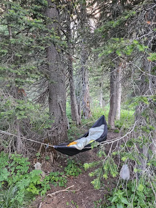 Morning Star Lake Campground Picture 2