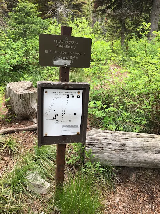 Atlantic Creek Campground Picture 4
