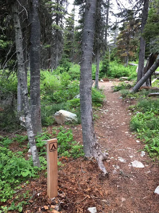 Atlantic Creek Campground Picture 5