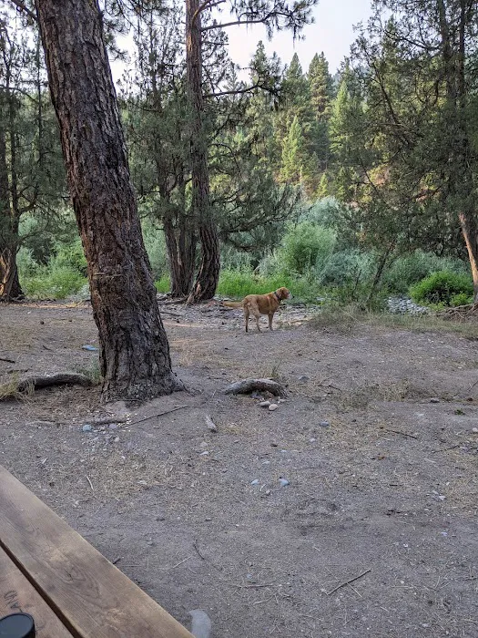 Corricks Riverbend Campground Picture 6