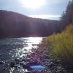 Corricks Riverbend Campground