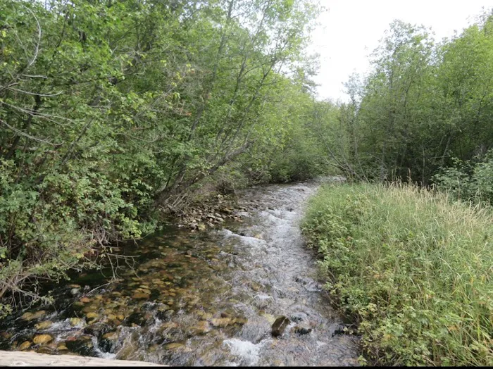 Grizzly Campground Picture 4