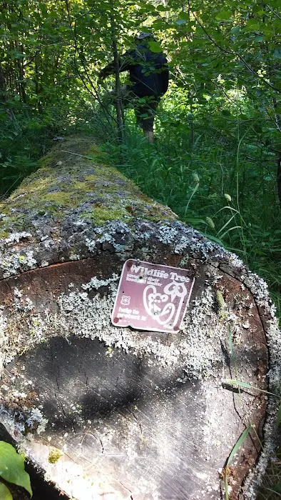 Grizzly Campground Picture 3