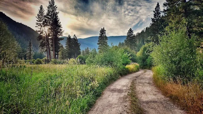 Grizzly Campground Picture 7