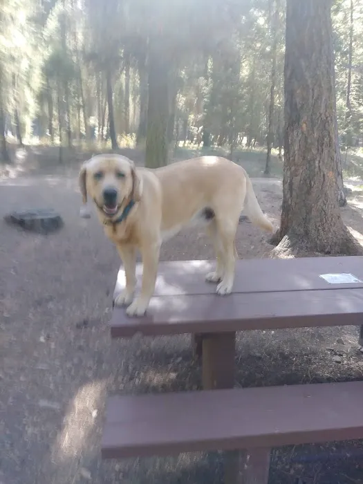 Grizzly Campground Picture 8
